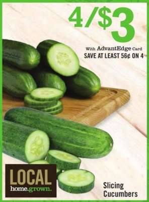 Slicing Cucumbers