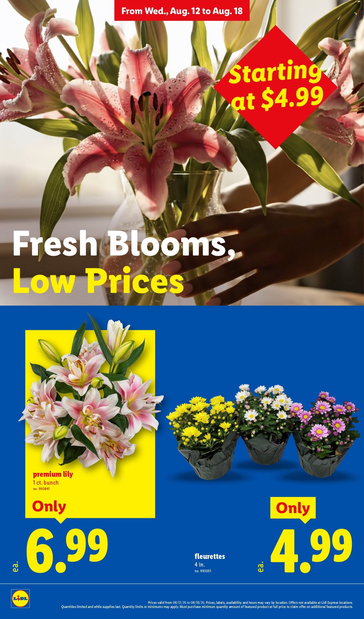 Lidl ad - 08/12/2026 - 08/18/2026. Page 24