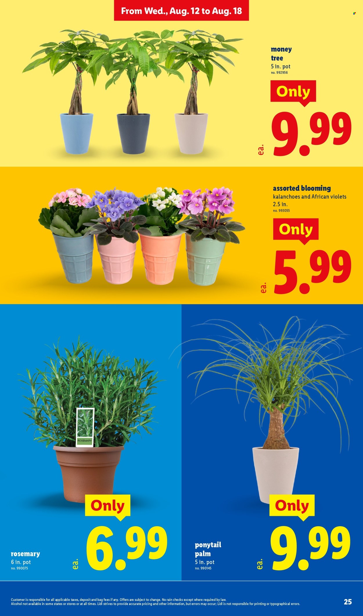 Lidl ad - 08/12/2026 - 08/18/2026. Page 25