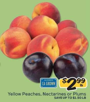 Yellow Peaches, Nectarines or Plums