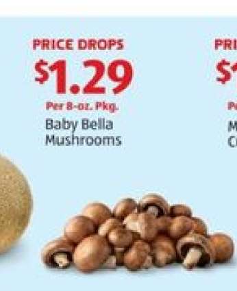 Baby Bella Mushrooms