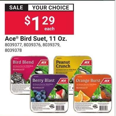 Ace Bird Suet, 11 Oz.