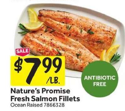 Nature's Promise Fresh Salmon Fillets