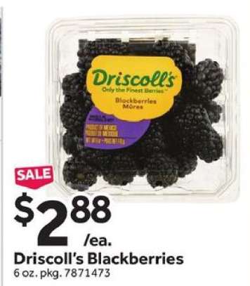 Driscoll's Blackberries