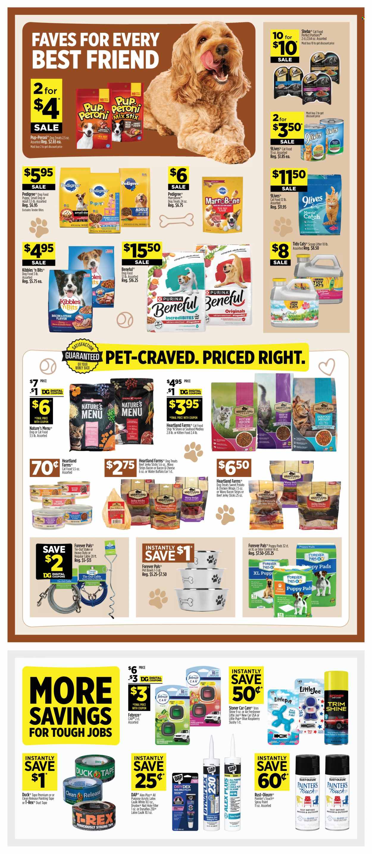 Dollar General ad - 08/16/2026 - 08/22/2026. Page 10