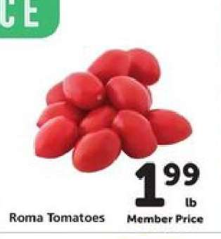 Roma Tomatoes