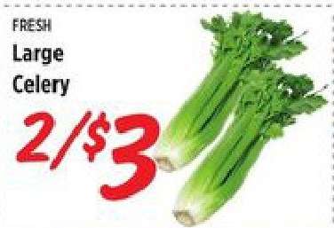 Large Celery