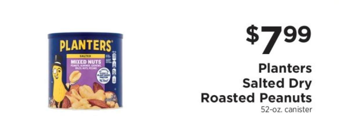 Planters Salted Dry Roasted Peanuts