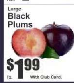 Large Black Plums