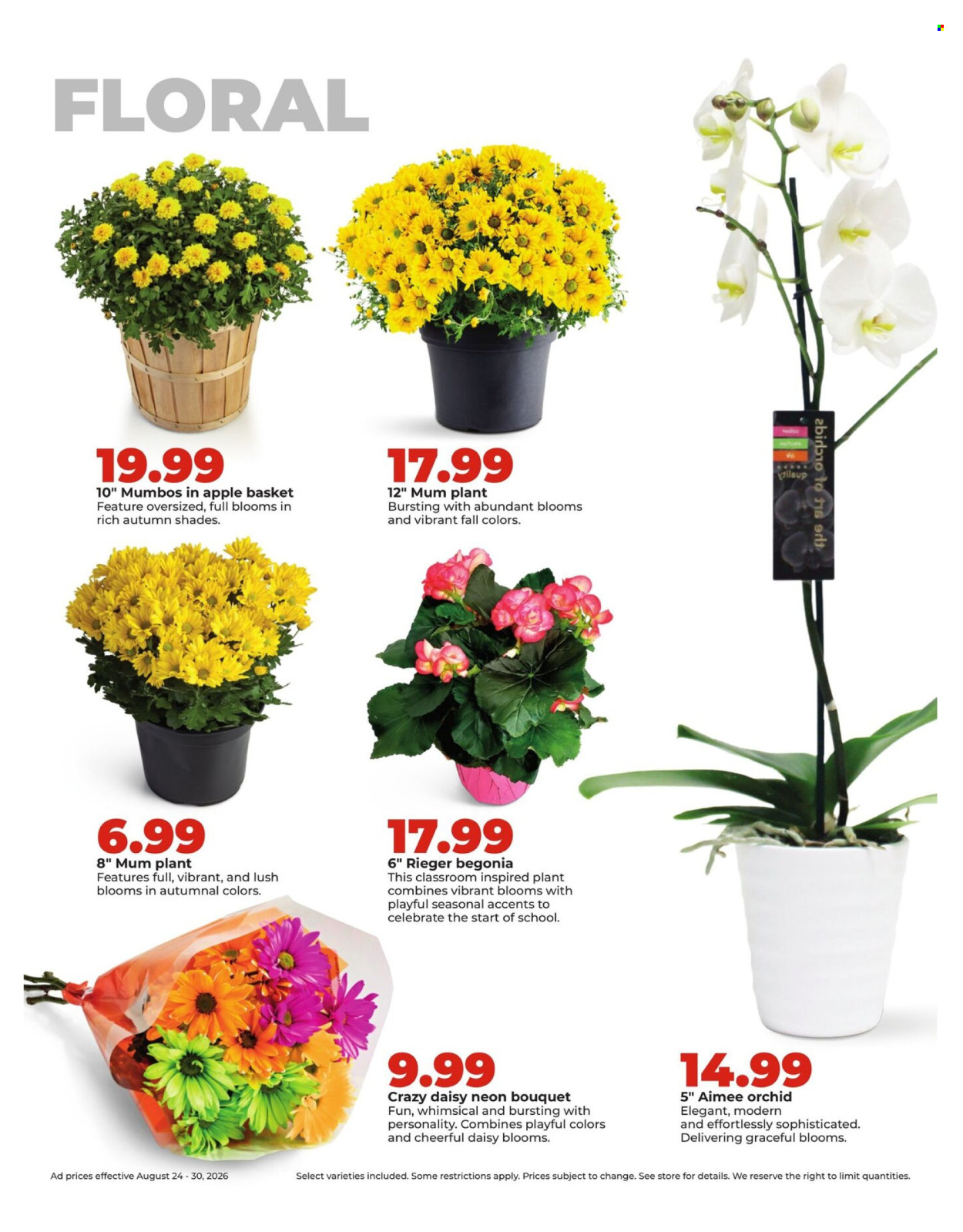 Hy-Vee ad - 08/24/2026 - 08/30/2026. Page 30