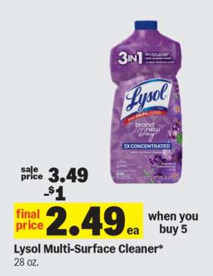 Lysol Multi-Surface Cleaner