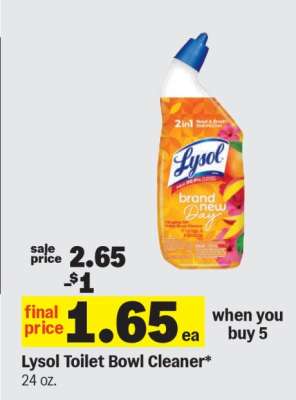 Lysol Toilet Bowl Cleaner