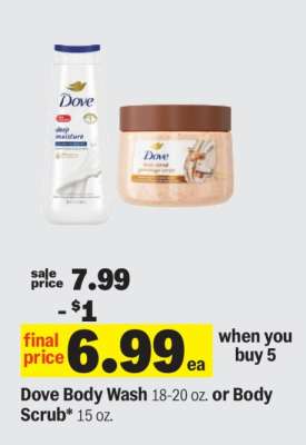 Dove Body Wash or Body Scrub