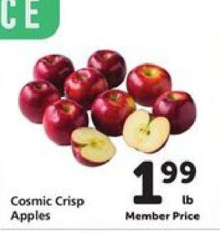Cosmic Crisp Apples