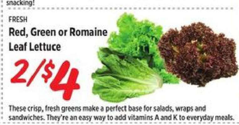 Red, Green or Romaine Leaf Lettuce