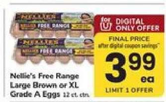 Nellie's Free Range Large Brown or XL Grade A Eggs