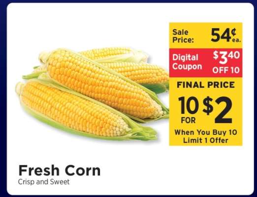 Fresh Corn