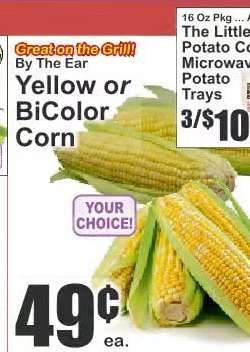 Yellow or BiColor Corn