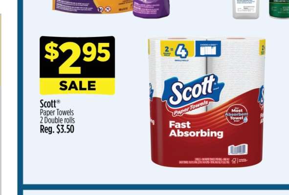 Scott Paper Towels