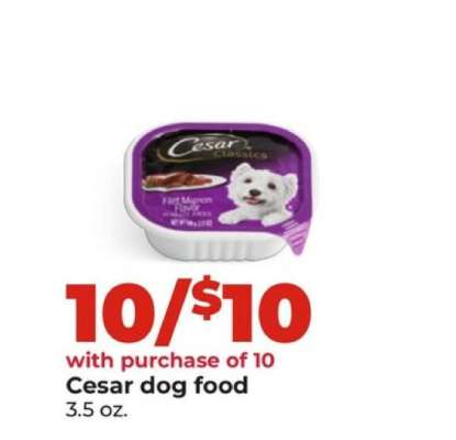 Cesar Dog Food