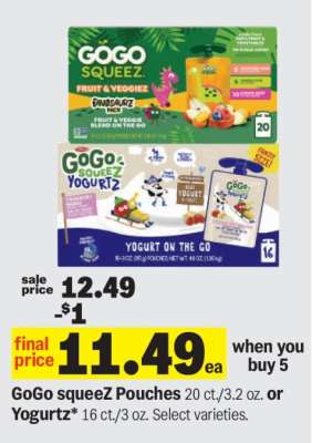 GoGo squeeZ Pouches or Yogurtz