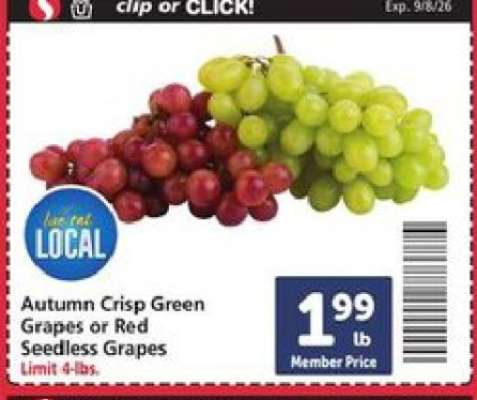 Autumn Crisp Green Grapes or Red Seedless Grapes