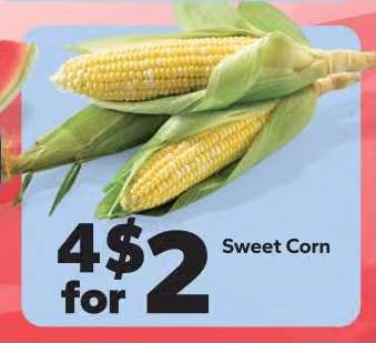 Sweet Corn