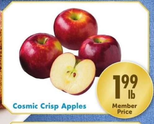 Cosmic Crisp Apples