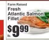 Fresh Atlantic Salmon Fillet