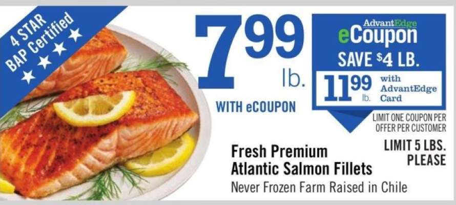 Fresh Premium Atlantic Salmon Fillets