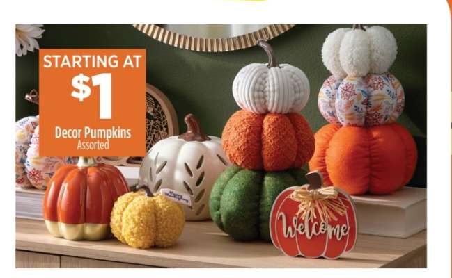 Decor Pumpkins