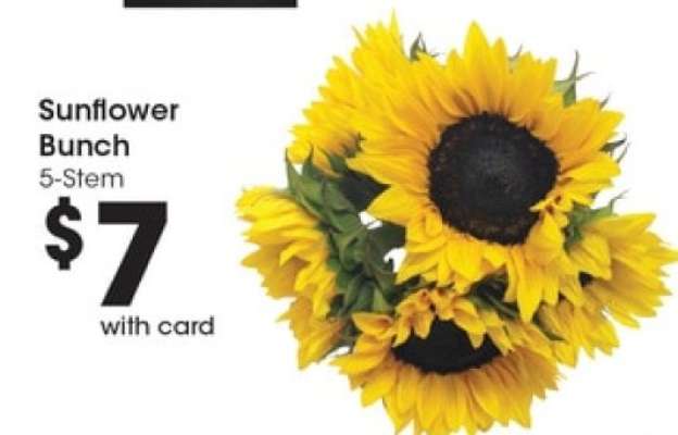 Sunflower Bunch