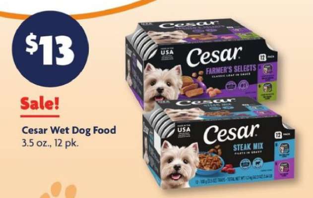 Cesar Wet Dog Food*