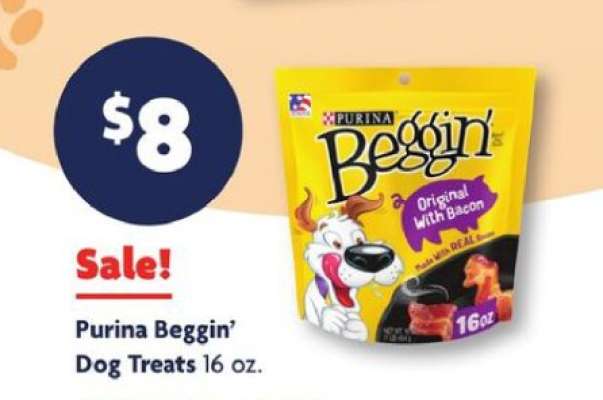 PURINA Beggin' Dog Treats