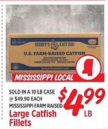 Large Catfish Fillets