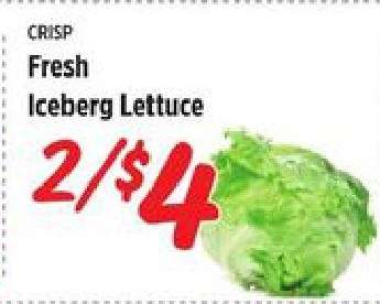 Fresh Iceberg Lettuce