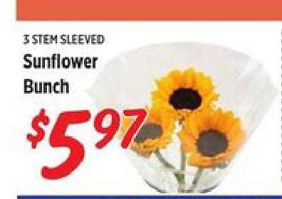 Sunflower Bunch