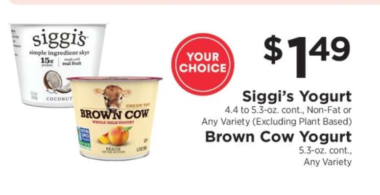 Siggi’s Yogurt / Brown Cow Yogurt