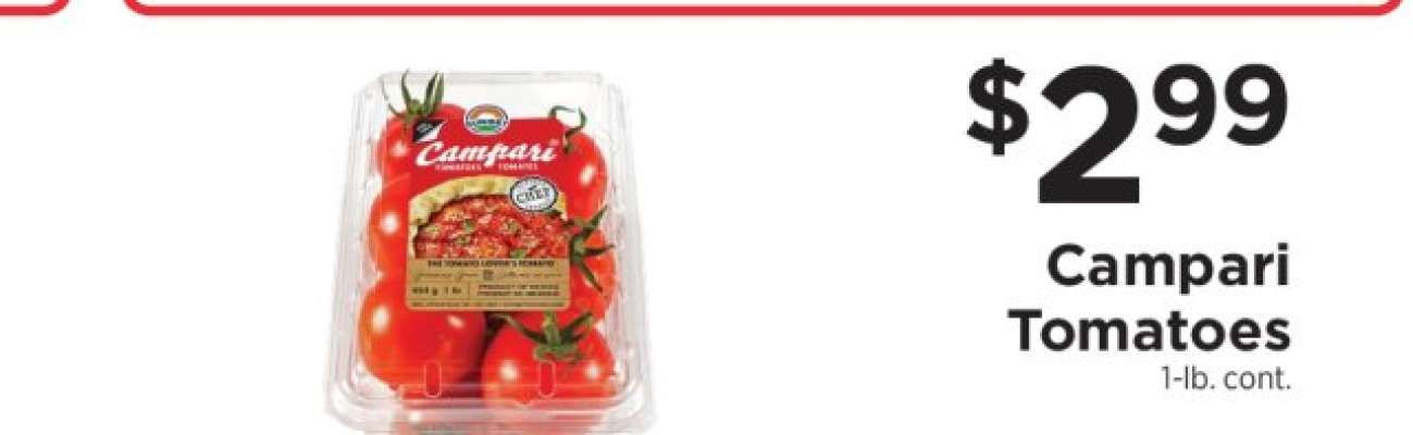 Campari Tomatoes