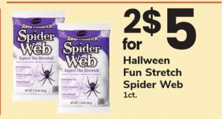 Spider Web