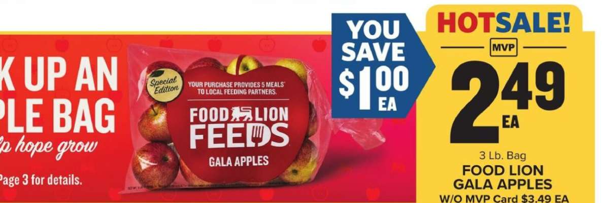 FOOD LION GALA APPLES