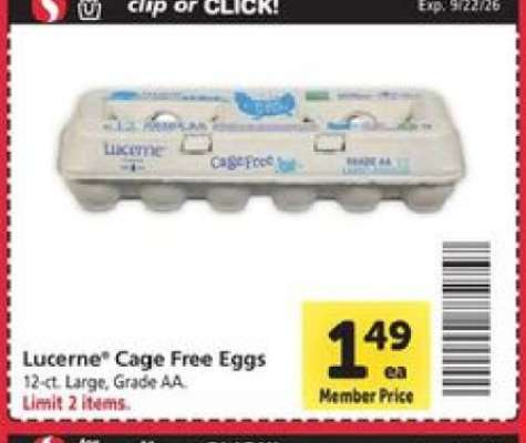 Lucerne Cage Free Eggs