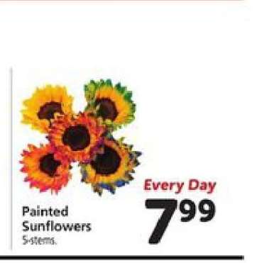 Painted Sunflowers
