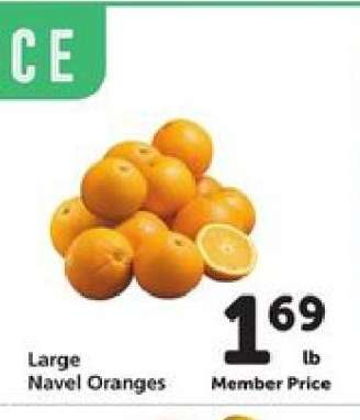 Large Navel Oranges