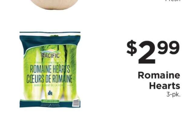 Romaine Hearts