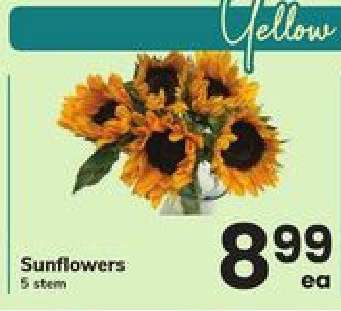 Sunflowers