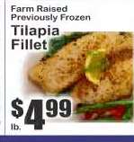 Tilapia Fillet