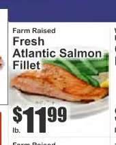 Fresh Atlantic Salmon Fillet