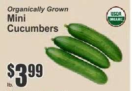 Mini Cucumbers
