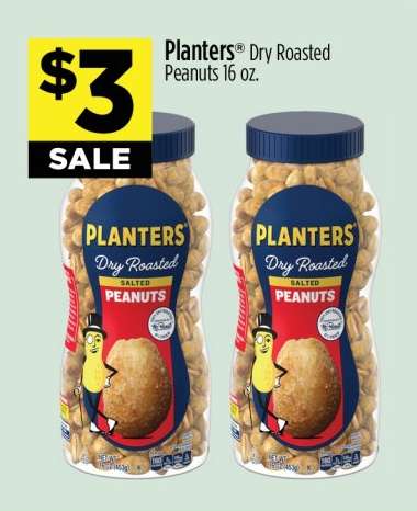 Planters Dry Roasted Peanuts 16 oz.